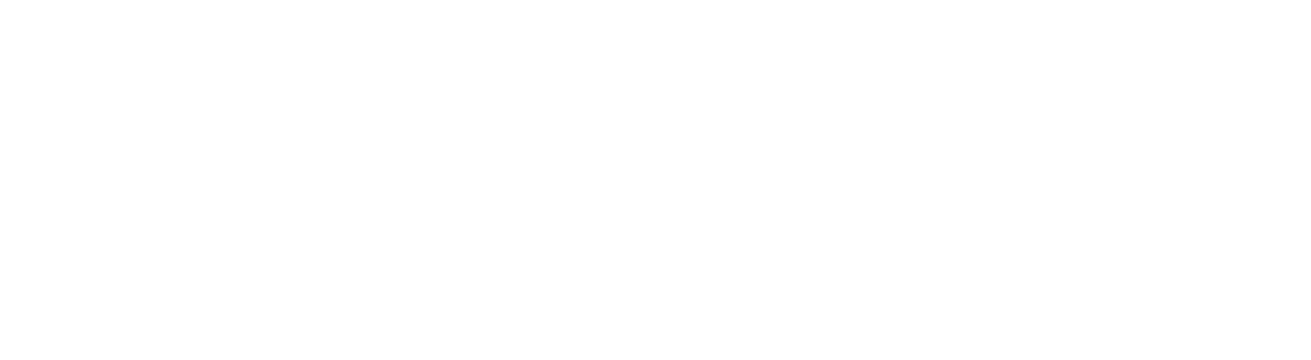 nickolaus21_LogoWhite Logo of Nickolaus21 Chicago Photographer